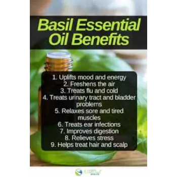 Basil Massage Oil