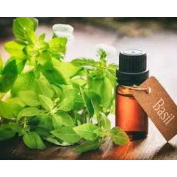 Basil Massage Oil