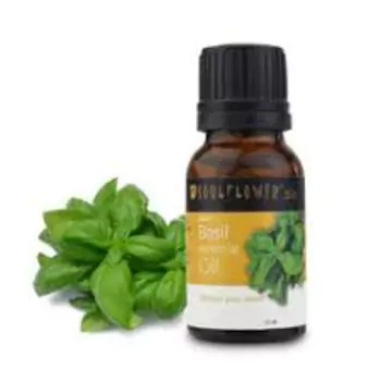 Basil Massage Oil