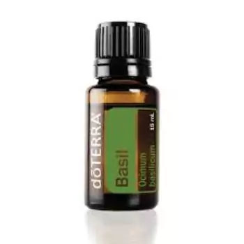 Basil Massage Oil