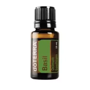 Basil Massage Oil