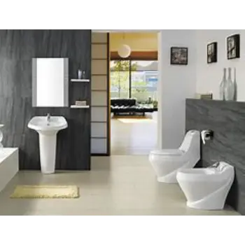 Polished Bathroom Sanitary Ware