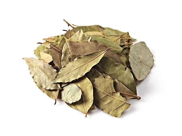 Natural Bay Leaf