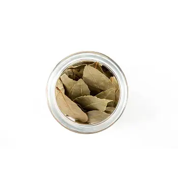 Fresh Bay Leaf
