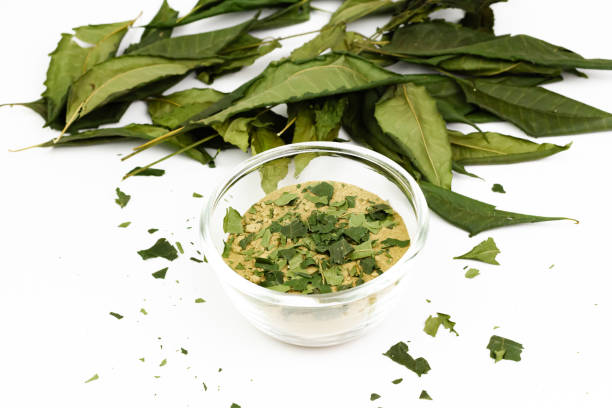 Natural  Bay Leaf
