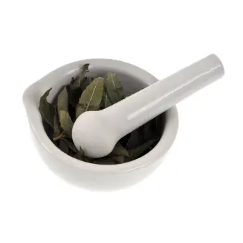  Common  Bay Leaf