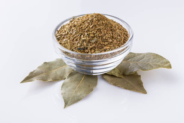 Common Bay Leaf