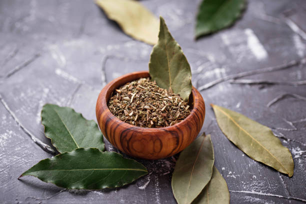 Common  Bay Leaf