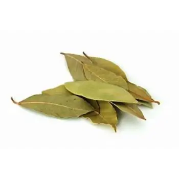 Natural Bay Leaf