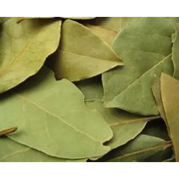 Bay Leaf