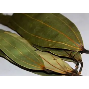 Bay Leaf