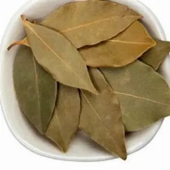common Bay Leaf