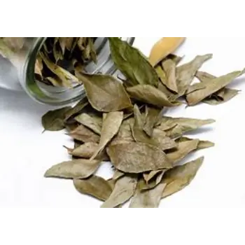Natural Bay Leaf