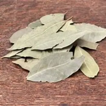 Bay Leaf