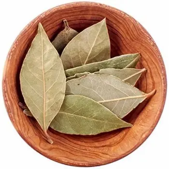 Bay Leaf