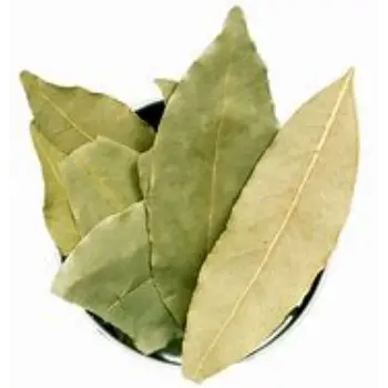 Bay Leaf