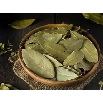 common Bay Leaf