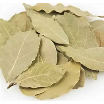 Bay Leaf