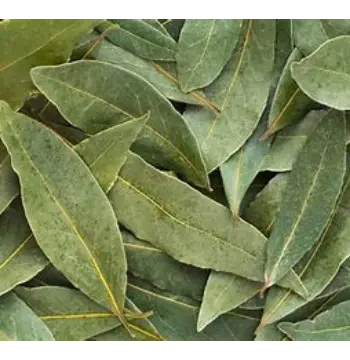  Natural   Bay Leaf