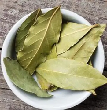 Natural Bay Leaf