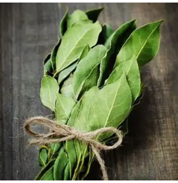 Natural Bay Leaf
