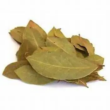 Bay Leaf