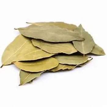 Bay Leaf