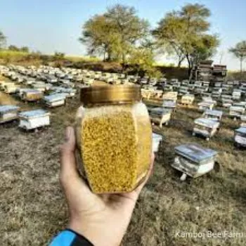 Bee Pollen