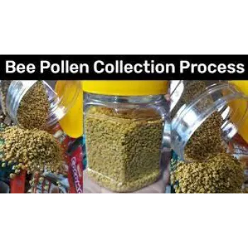 Bee Pollen