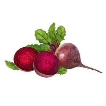 Common BeetRoot