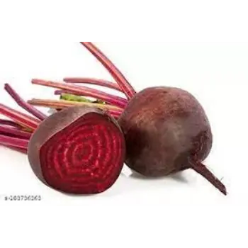 Common BeetRoot