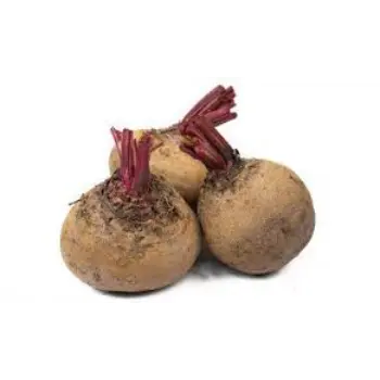 Common Beetroot