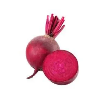 Common BeetRoot