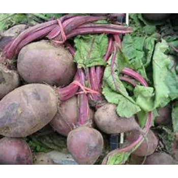 Beetroot