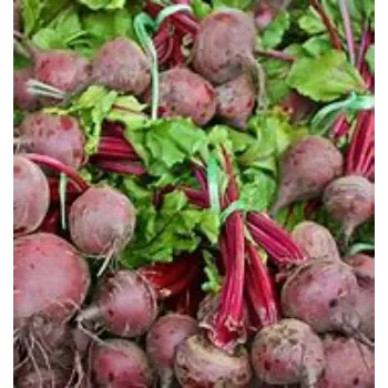 Beetroot
