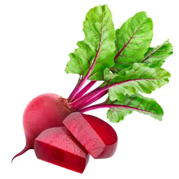 Common Beetroot
