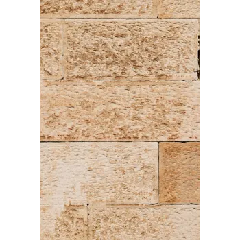 Latest Beige Sandstone