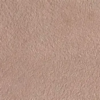 Plain Beige Sandstone