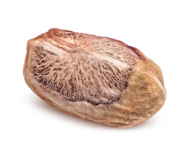 Natural Betel Nuts