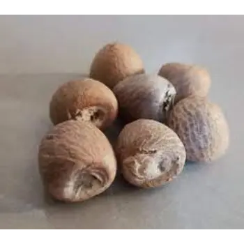 Natural Betelnuts