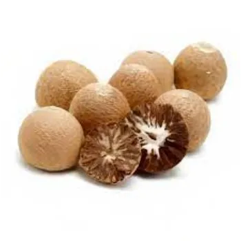 Common Betelnuts
