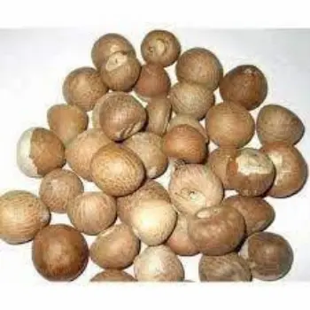 Common Betelnuts