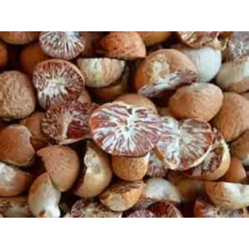 Common Betelnuts