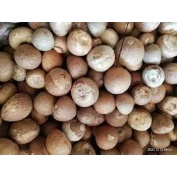 Natural Betelnuts