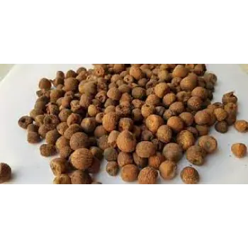 Natural Betelnuts