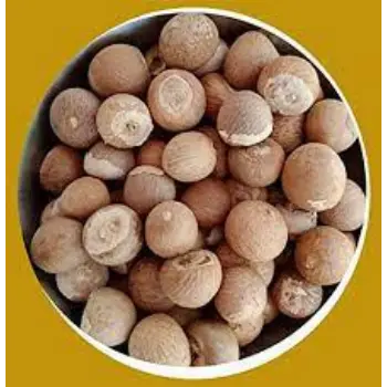 Common Betelnuts