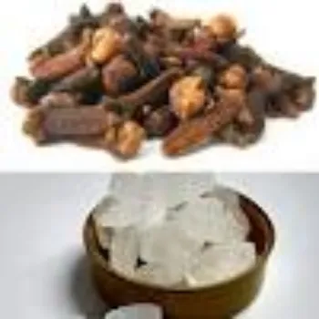 Arul Enterprises Bhimseni Camphor
