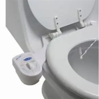 Solid Bidet