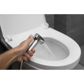 Modern Bidet
