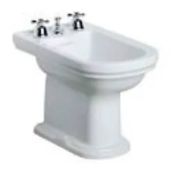 Polished Bidet
